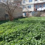 Satılır Torpaq, Qaraçuxur qəs., Suraxanı rayonu 5