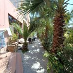Satılır 8 otaqlı Həyət evi/villa, Binə qəs., Xəzər rayonu 25