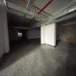 Продажа 4 комнатная Новостройка, м. Эльмляр Академиясы метро, Ботанический сад, Ясамал район 6