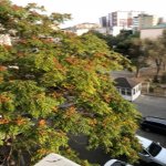 Продажа 2 комнатная Вторичка, 9-ый микрорайон, Бинагадинский р-н район 11