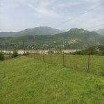 Satılır Torpaq Şamaxı 9