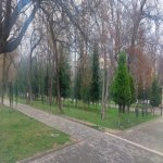 Kirayə (aylıq) 3 otaqlı Köhnə Tikili, Gənclik metrosu, Nəsimi rayonu 2