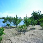Satılır 3 otaqlı Həyət evi/villa, Maştağa qəs., Sabunçu rayonu 6
