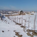 Satılır Torpaq, Neftçilər metrosu, Saray, Abşeron rayonu 8