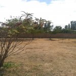Satılır 3 otaqlı Həyət evi/villa, Ramana qəs., Sabunçu rayonu 5