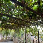 Satılır 5 otaqlı Bağ evi, Goradil, Abşeron rayonu 5