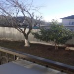 Satılır 5 otaqlı Həyət evi/villa İsmayıllı 21