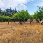 Satılır Torpaq, Qaraçuxur qəs., Suraxanı rayonu 13