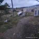 Satılır Obyekt Goranboy 18