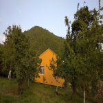 Kirayə (günlük) 3 otaqlı Həyət evi/villa İsmayıllı 3