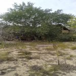 Продажа Участок, Сабунчу район 5