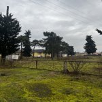 Продажа Участок Астара 2
