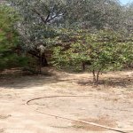 Satılır 4 otaqlı Həyət evi/villa, Şıxlar qəs., Qaradağ rayonu 5