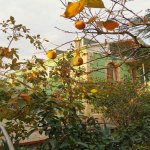 Продажа 10 комнатная Дома/Виллы, Сарай, Абшерон район 4