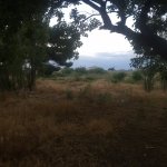 Satılır Torpaq, Maştağa qəs., Sabunçu rayonu 7
