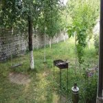 Kirayə (günlük) 4 otaqlı Bağ evi Qəbələ 11