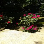 Satılır 3 otaqlı Həyət evi/villa, Yasamal rayonu 3