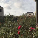 Satılır 2 otaqlı Bağ evi, Nardaran qəs., Sabunçu rayonu 3