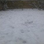 Kirayə (aylıq) 3 otaqlı Həyət evi/villa Xırdalan 7
