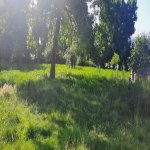 Продажа Участок Гябяля 4
