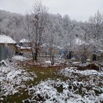 Satılır Torpaq Qəbələ 3