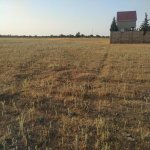 Продажа Участок Хачмаз / Набрань 2