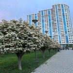Satılır 3 otaqlı Yeni Tikili, Elmlər akademiyası metrosu, Yasamal rayonu 14