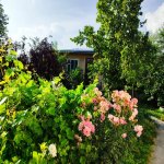 Kirayə (günlük) 2 otaqlı Həyət evi/villa İsmayıllı 9