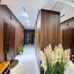 Kirayə (aylıq) 2 otaqlı Yeni Tikili, Nəriman Nərimanov metrosu, Heydər Əliyev Mərkəzi, Nərimanov rayonu 20