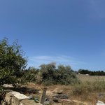 Satılır Torpaq, Bilgəh qəs., Sabunçu rayonu 7