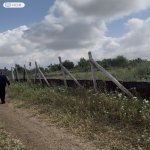 Satılır Torpaq Şamaxı 1