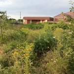 Продажа Участок Губа 7