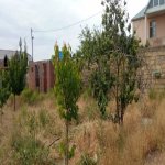 Satılır Torpaq Sumqayıt 3