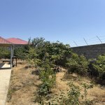 Satılır Torpaq, Məhəmmədli, Abşeron rayonu 1