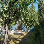 Kirayə (günlük) 4 otaqlı Həyət evi/villa İsmayıllı 8