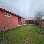 Kirayə (günlük) 3 otaqlı Həyət evi/villa Qəbələ 10