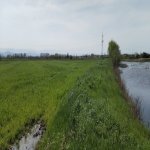 Продажа Участок Хачмаз 100