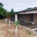Satılır 3 otaqlı Bağ evi, Bilgəh qəs., Sabunçu rayonu 27