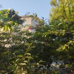 Satılır 7 otaqlı Həyət evi/villa, Maştağa qəs., Sabunçu rayonu 12