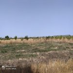 Satılır Torpaq, Ramana qəs., Sabunçu rayonu 9
