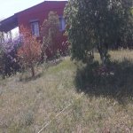 Satılır 2 otaqlı Bağ evi, Sabunçu rayonu 5
