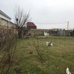 Satılır Torpaq, Şüvəlan, Xəzər rayonu 4