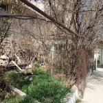 Satılır Torpaq, Qaraçuxur qəs., Suraxanı rayonu 12