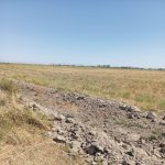 Продажа Участок Кюрдямир 4