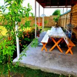 Kirayə (günlük) 5 otaqlı Bağ evi Qəbələ 5