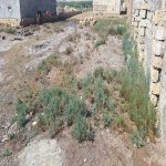 Продажа Участок, пос. Локбатан, Гарадаг район 3