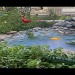 Продажа 5 комнатная Дома/Виллы, пос. Говсан, Сураханы район 20