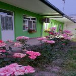 Kirayə (günlük) 2 otaqlı Həyət evi/villa Quba 12