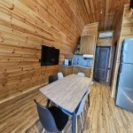 Kirayə (günlük) 3 otaqlı Həyət evi/villa Qəbələ 13