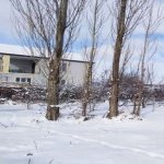 Kirayə (günlük) 3 otaqlı Həyət evi/villa Qusar 1